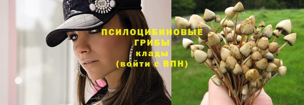 а пвп мука Киренск